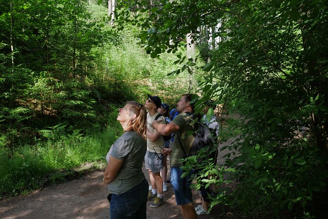 3 in 1 Tour Brewery & Castle in Bohemian Paradise Unesco Geopark - Prachovské skály: sandstone formations, old ruins, and an easy walk that still climbs