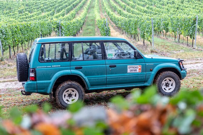A delightful wine tasting in the scenic countryside with lunch - Price and value: $360.83 per person, and what you’re paying for