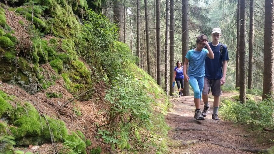 Bohemian Switzerland: Private Day Trip from Prague - Quick hits before you go