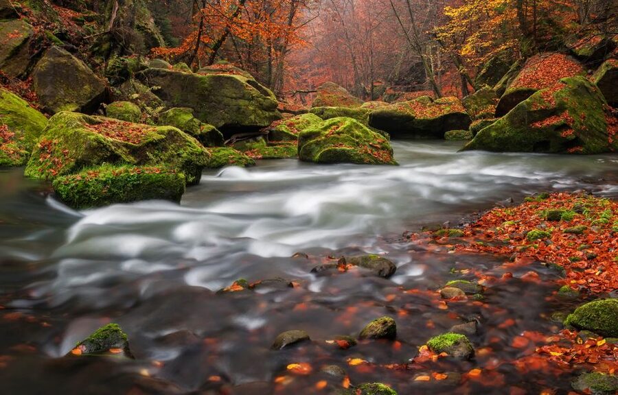 Bohemian Switzerland: Private Day Trip from Prague - Hřensko: More Than a Stop for Photos