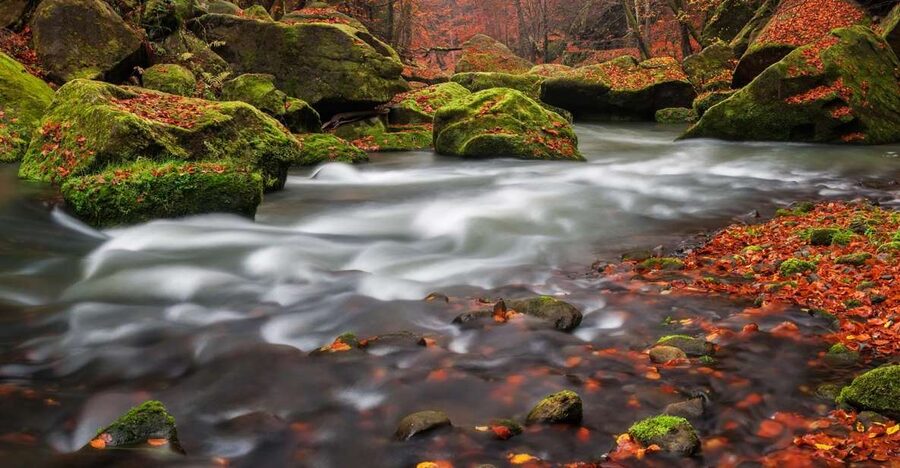 Bohemian Switzerland: Private Day Trip from Prague - Guides, Group Size, and the Pace That Fits Your Feet