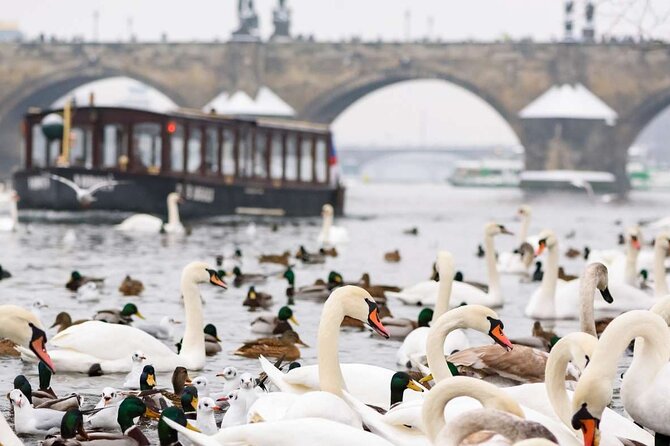 Charles Bridge: River Boat Cruise & Guided Tour ️with PragueWay - The Charles Bridge Museum stop, 15 minutes that actually helps