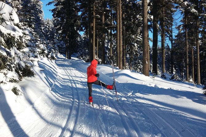 Cross-Country Skiing Guided Tour From Prague - Group Size, Timing, and Transfers: Getting There Without Stress