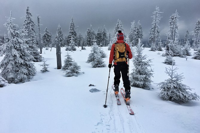 Cross-Country Skiing Guided Tour From Prague - On-Snow Time in the Jizera Trails: 5 Hours You Can Shape to Your Level