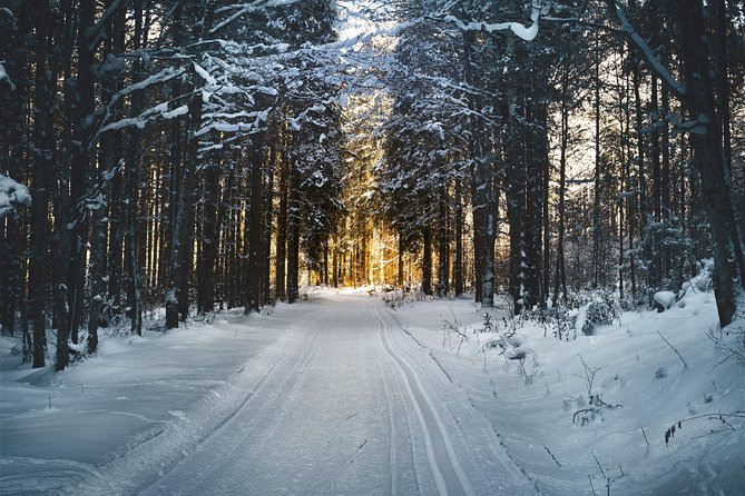 Cross-Country Skiing Guided Tour From Prague - Liberec Lunch and Drink: Czech Food Without the Logistics Puzzle