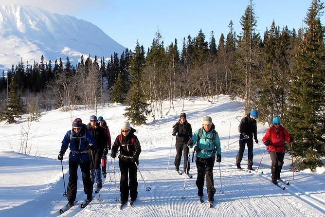 Cross-Country Skiing Guided Tour From Prague - Price and Value: Does $313 Make Sense?