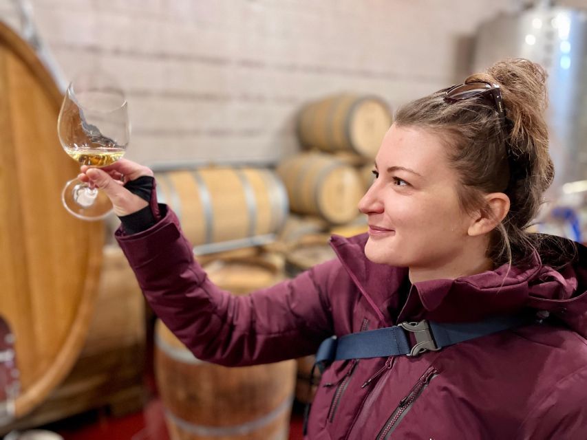 Czech Vineyards and Wine Tasting 4WD Tour with Lunch - Key Points You’ll Actually Care About