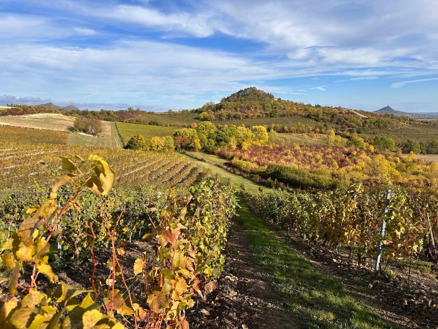 Czech Vineyards and Wine Tasting 4WD Tour with Lunch - 7 Hours, One 4x4, and a Pace That Works for Different Travelers