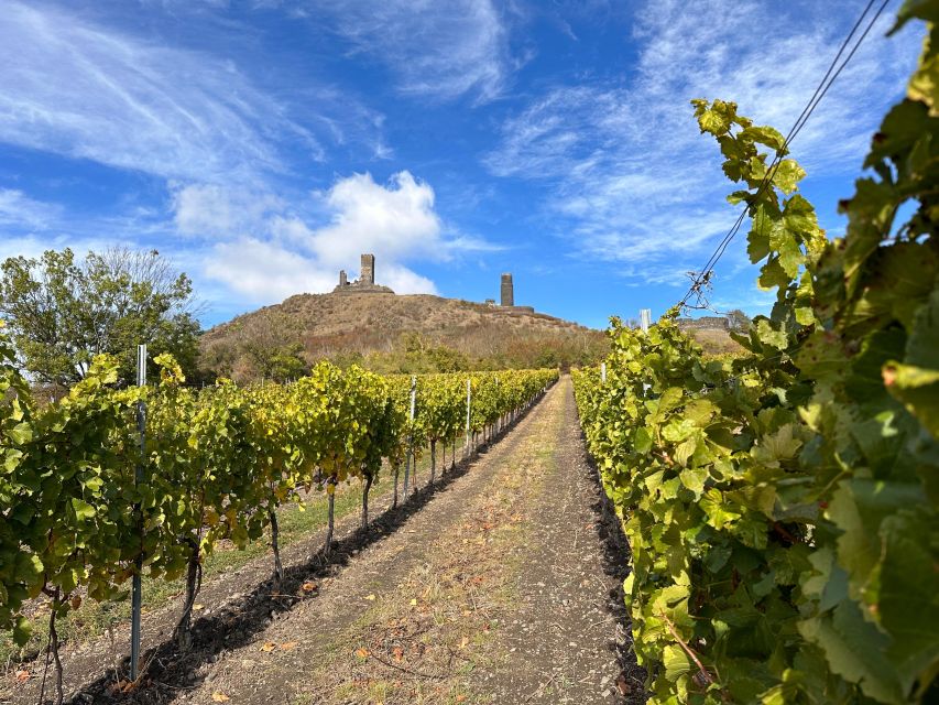 Czech Vineyards and Wine Tasting 4WD Tour with Lunch - The Baroness Ulrike von Levetzow and Goethe Story Behind the Bottles