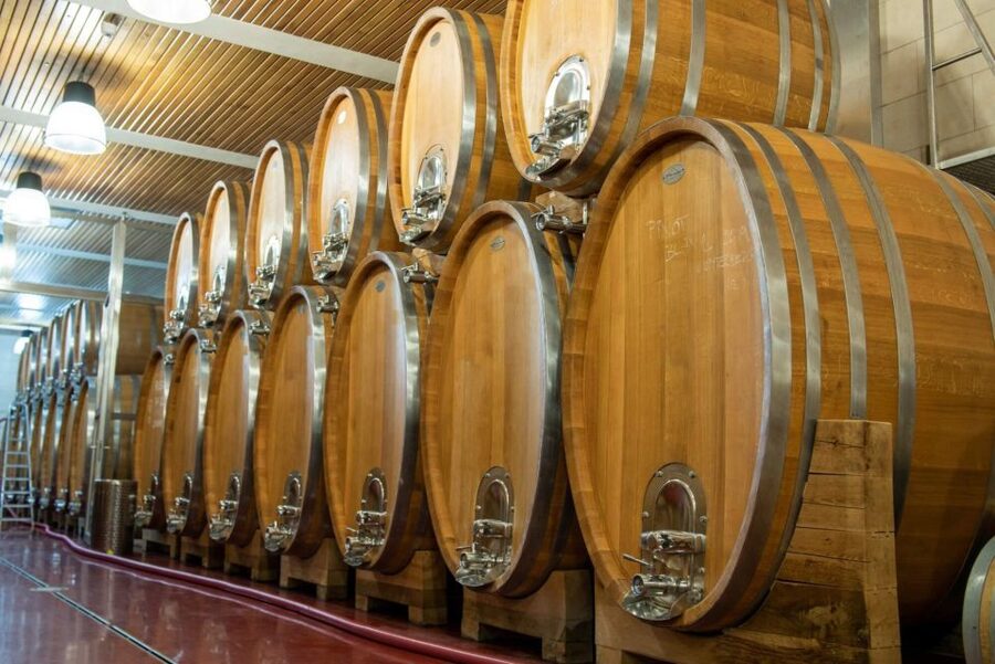 Czech Vineyards and Wine Tasting 4WD Tour with Lunch - The Castles and the Jewish Cemetery Stop You’ll Remember Longer