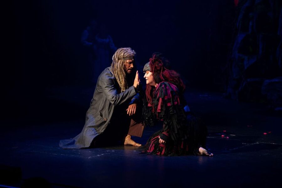Disney's Tarzan Musical - Price and Value: What 72 USD Buys You