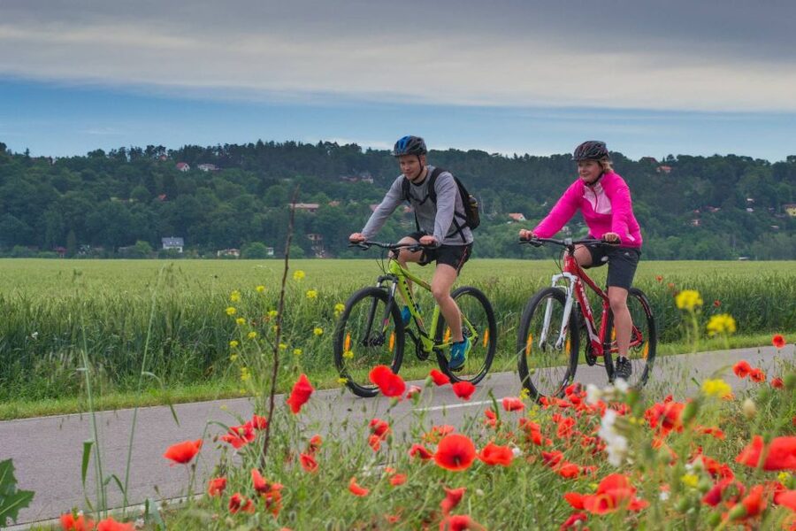 E-Bike Day Trip: Visit a Roman Castle and Taste Craft Beer - Past forgotten villages and churches: the quiet side of Bohemia