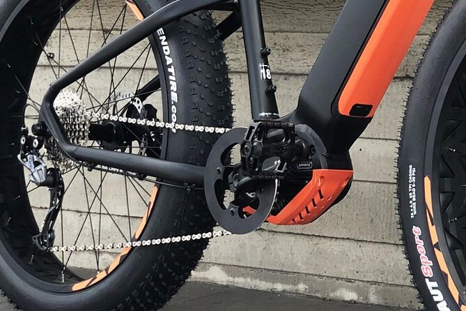 FAT TIRE E-BIKE GREAT TOUR - river, parks & panoramic views tour - Queen Anne’s Summer Palace: royal gardens without the long wait