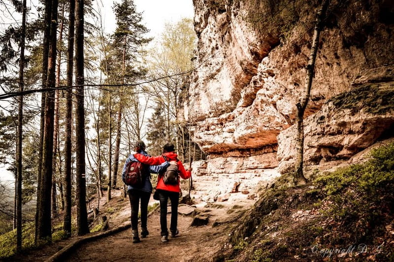 From Prague: Bohemian & Saxon Switzerland All-Inclusive Tour - Saxon Switzerland and Bastei Bridge above the Elbe canyon