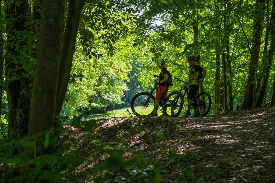 From Prague: E-Mountain Biking Trip to the Bohemian Paradise - Hruboskalsko Rock Town ridgeline: the signature view sequence
