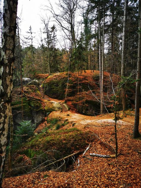 From Prague: Full-Day Bohemian Paradise Guided Hiking Trip - From Prague by train to Český ráj