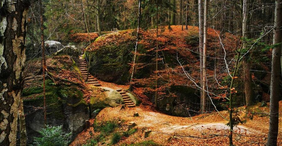 From Prague: Full-Day Bohemian Paradise Guided Hiking Trip - Price and value: what $145 buys you