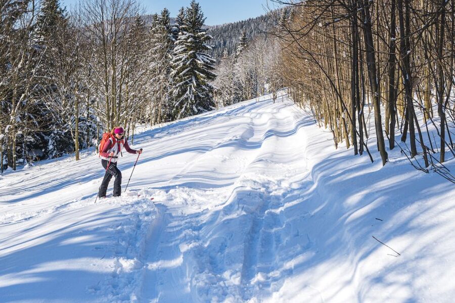 From Prague: Guided Snowshoe Tour with Mountain Views - Who This Tour Fits Best (and Who Should Rethink It)