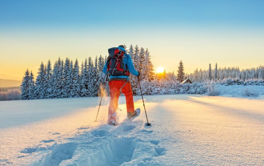 From Prague: Guided Snowshoe Tour with Mountain Views - The Drive Up From Prague and the First Steps on Snowshoes