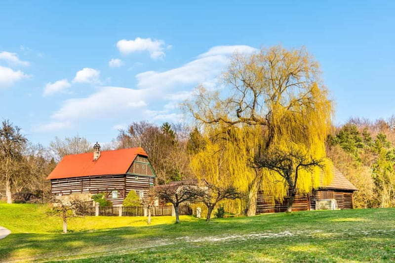 From Prague: Hike the Hidden Valleys of Bohemian Paradise - The part that tests your knees: stairs, downhills, and pacing