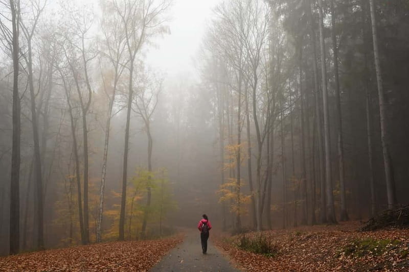 From Prague: Hike the Hidden Valleys of Bohemian Paradise - Should you book this Prague countryside hike?