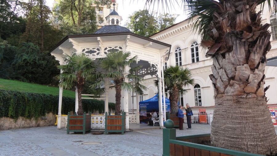 From Prague: Private Karlovy Vary & Crystal Factory Tour - If you want the thermal swim, plan for what the pool is like