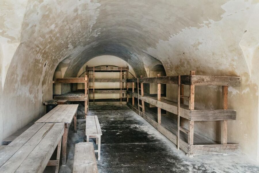 From Prague: Terezin Concentration Camp Guided Tour w/ Audio - Who should book this tour, and who might want a different option