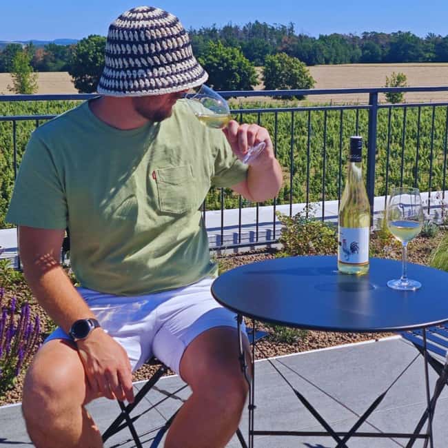 From Prague to the Vineyards: Wine & Gastronomy Tour - Mělník: where beer, wine, walking, and food tasting meet