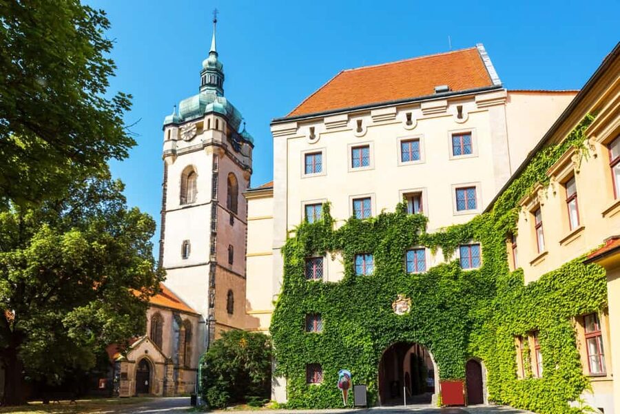 From Prague to the Vineyards: Wine & Gastronomy Tour - Inside the 13th-century cellar: your Bohemian wine tasting