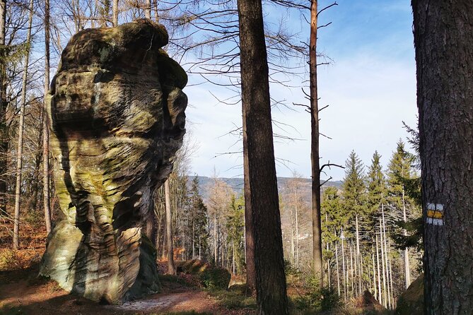 Full-Day Hiking in Bohemian Paradise Malá Skála near Prague - Zbirohy Castle Ruins: A Short Stop with Real Historic Feel
