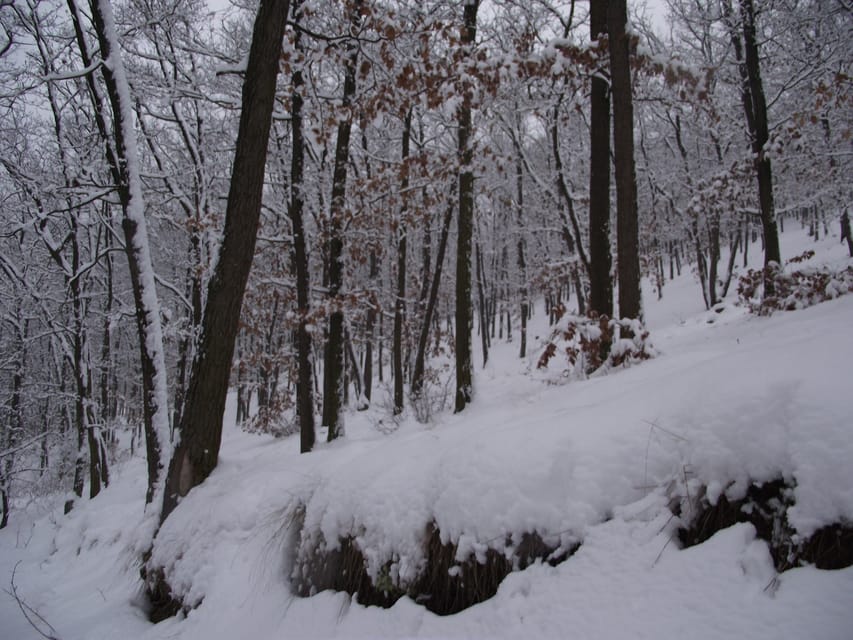 Get to know South Moravia with us. 6 hour tour. - What is included, and where you might spend a little extra