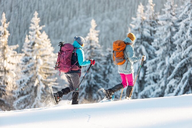 Half-Day Snowshoe Trip from Prague - Key Highlights You Should Care About