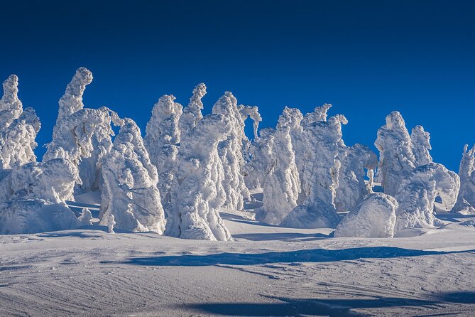 Half-Day Snowshoe Trip from Prague - The Hilltop Restaurant at the Top: More Than a Satisfying Break