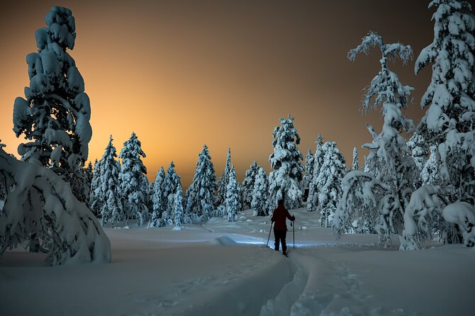 Half-Day Snowshoe Trip from Prague - Night Snowshoeing with Headlamps, the Real Fun Part