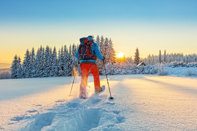 Half-Day Snowshoe Trip from Prague - Pickup, Small Group Size, and How to Plan Your Day
