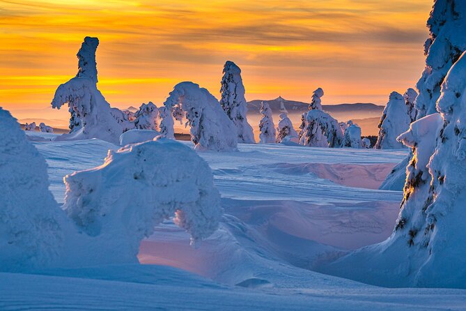 Half-Day Snowshoe Trip from Prague - The 2:00 pm Start and About 7 Hours Thing