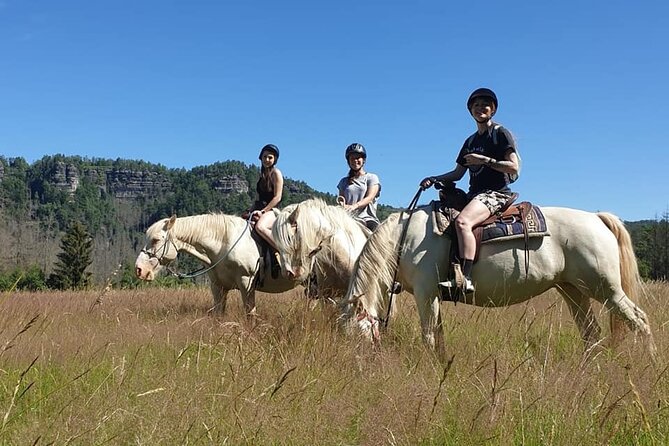 Horseback Riding Tour in Bohemian Switzerland - Price and value: what $300.38 covers (and why it’s not just the ride)