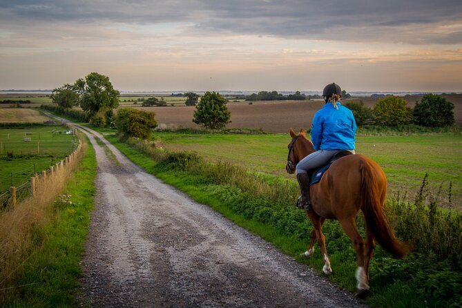 Horseback Riding Tour in Bohemian Switzerland - Logistics that make or break the day: timing, group size, and safety rules