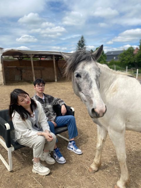 Horseback riding tour near Prague - Why This Horse Ride Feels Different From a Typical Prague Day Trip