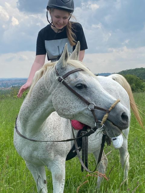 Horseback riding tour near Prague - Key Points That Matter Before You Book