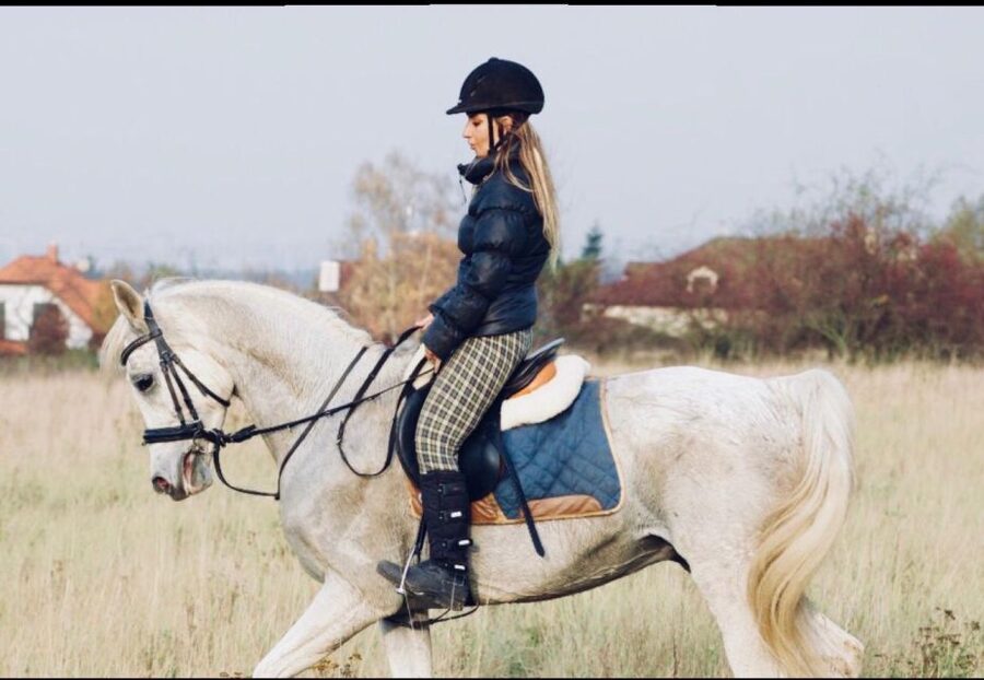 Horseback riding tour near Prague - Meet the Horses: Why Welfare Is the Whole Story Here