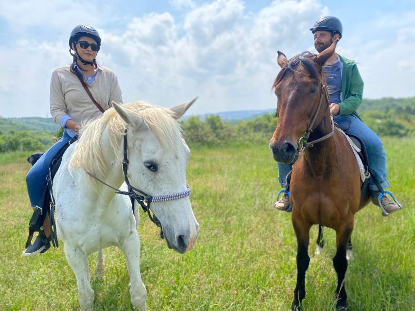 Horseback riding tour near Prague - Safety for Beginners: Calm Horses, Rope Guidance, Real Rules