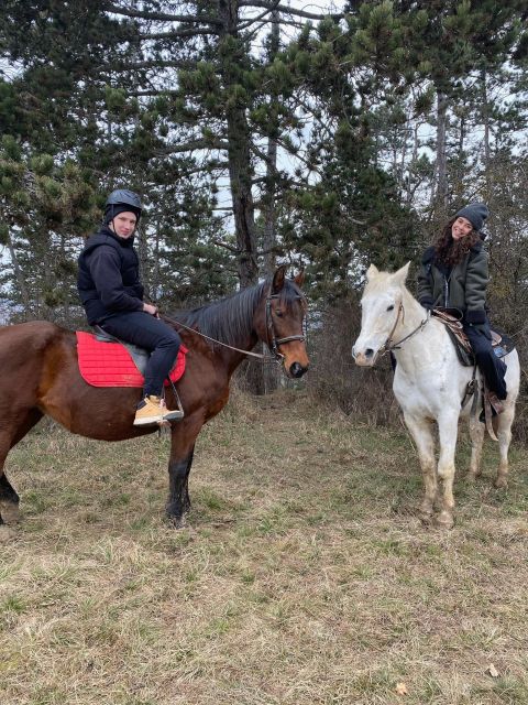 Horseback riding tour near Prague - Logistics From Prague: How to Get There Without Stress