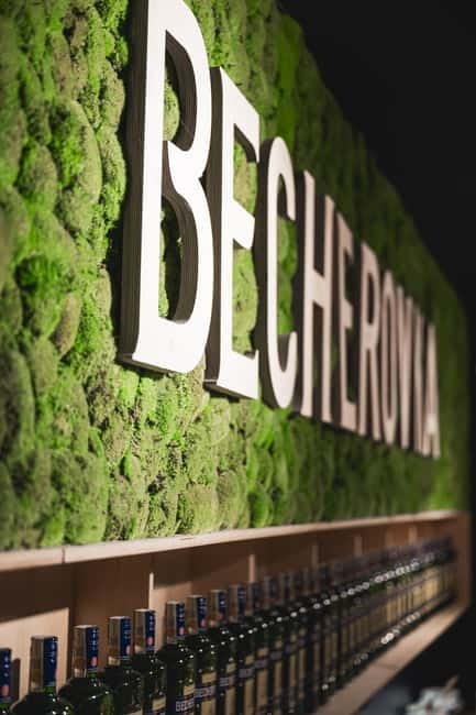 Karlovy Vary: Home of Becherovka Visitor Center Guided Tour - Price and time: is $14 worth 50 minutes?