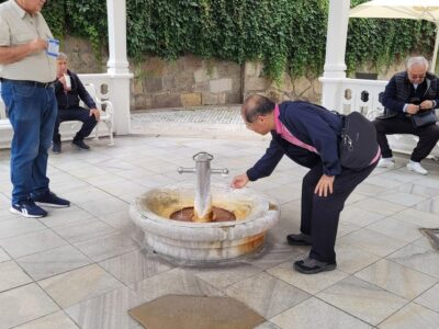 Mineral Hot Springs Tasting and Walking Tour