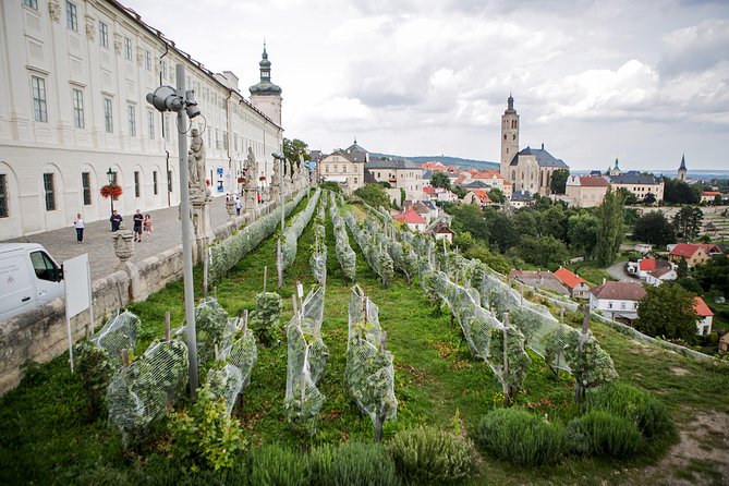 Kutná Hora UNESCO, Bone Church & Biodynamic Wine Private Tour - Lunch in Kutná Hora’s Historical Center: Czech Classics, Served as a Real Meal