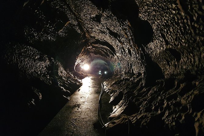 Moravian Carst And Brno Private Tour From Prague - Punkva Caves: boat through the cave system, plus cold cave reality