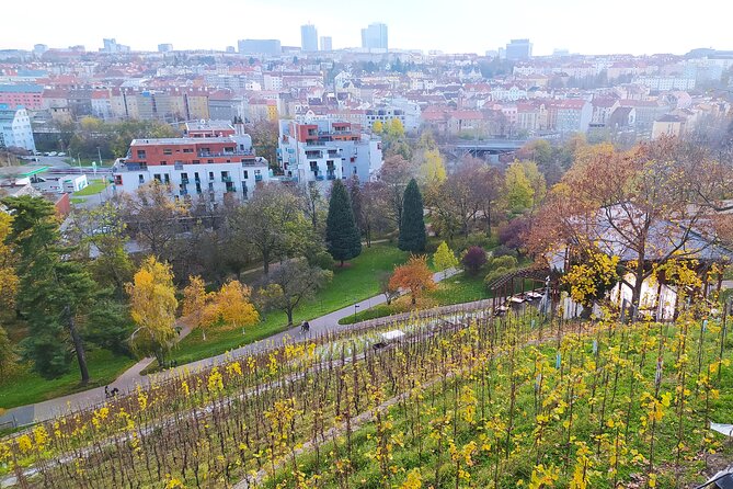 Non-touristy Prague - Cozy Neighborhoods - Private Tour - New Town edge: Nove Město squares plus the 1800s water-supply tower