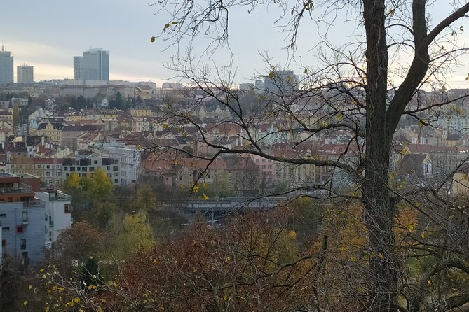 Non-touristy Prague - Cozy Neighborhoods - Private Tour - Vinohrady calm, Grébovka vineyards, and Folimanka by the stream