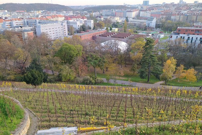 Non-touristy Prague - Cozy Neighborhoods - Private Tour - Who should book this Prague non-touristy private tour